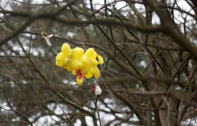 Ballonnenwedstrijd in Kuringen stuit op protest