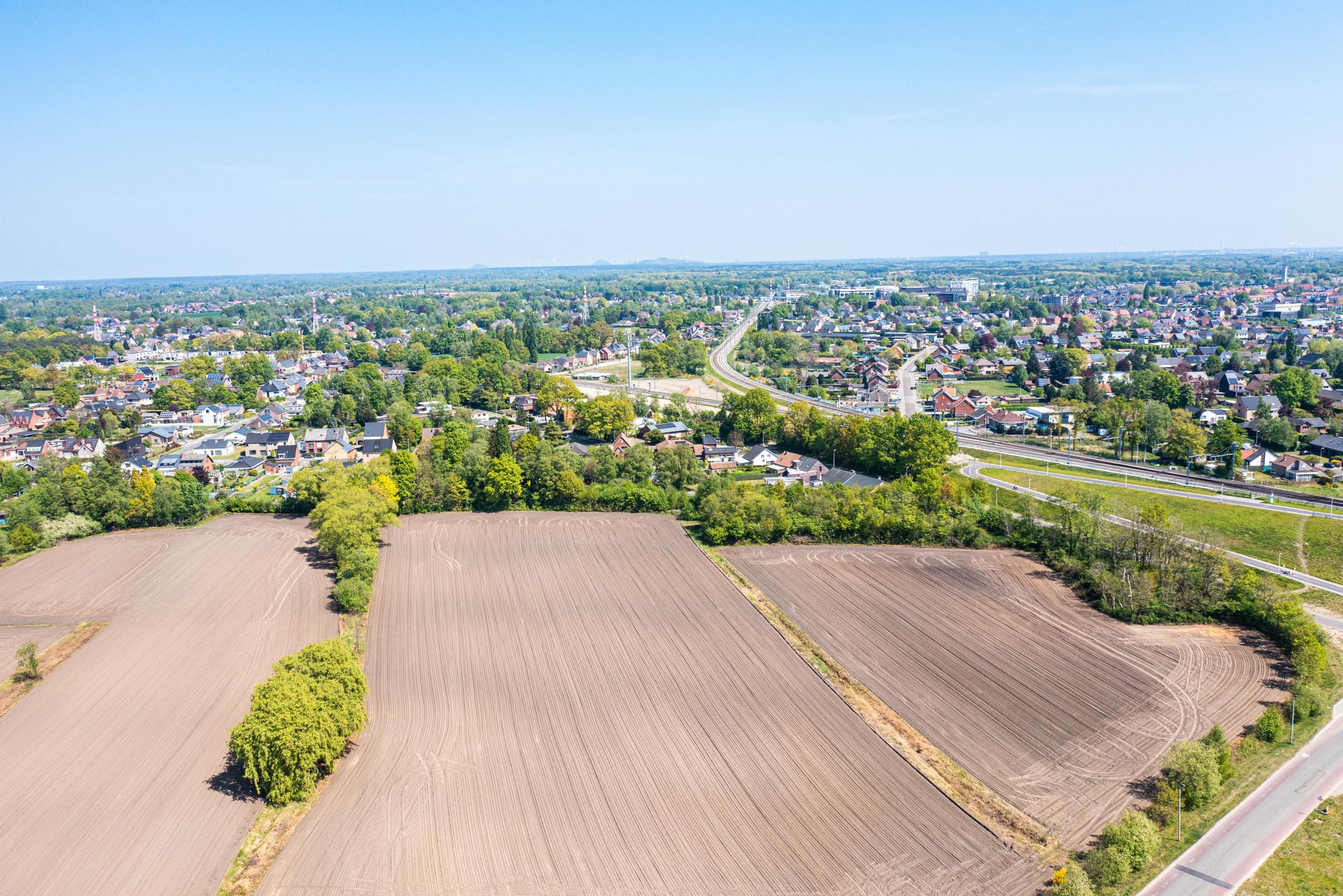 Hasselt koopt grond voor bouw school en supermarkt in Kuringen-Heide