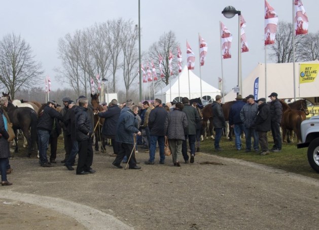 Dit weekend weer Paardenmarkt en Sint-Gertrudisfeesten in Kuringen